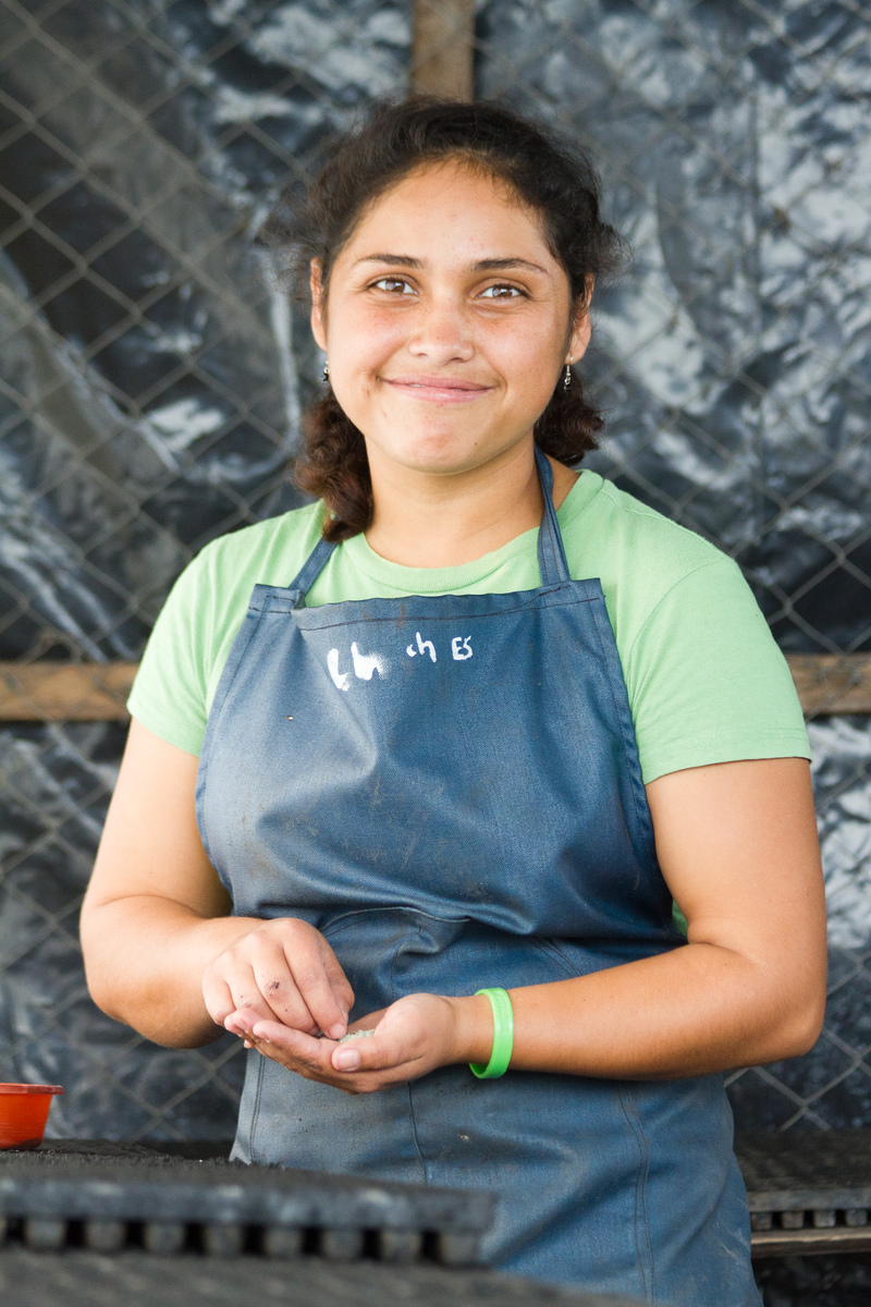 Photo 4 from TechnoServe